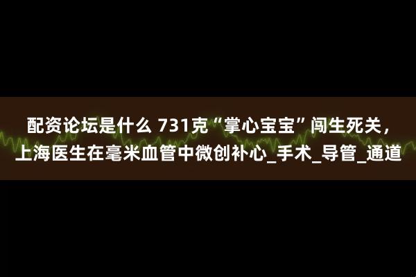 配资论坛是什么 731克“掌心宝宝”闯生死关，上海医生在毫米血管中微创补心_手术_导管_通道
