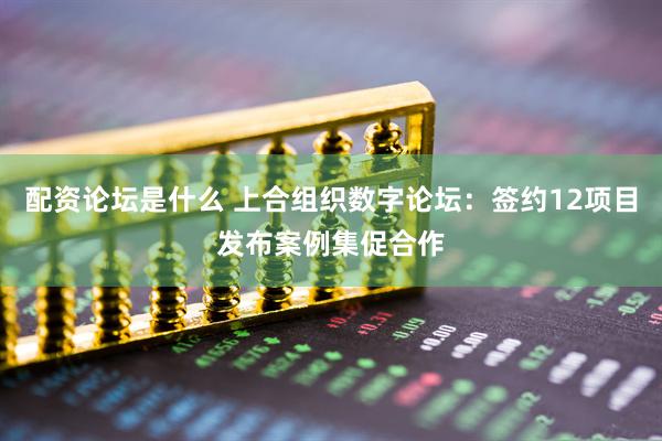 配资论坛是什么 上合组织数字论坛：签约12项目发布案例集促合作