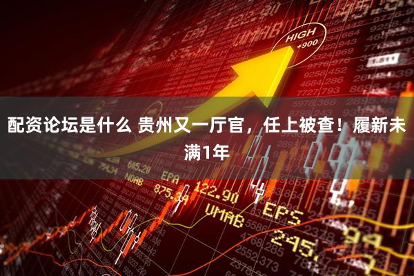 配资论坛是什么 贵州又一厅官，任上被查！履新未满1年