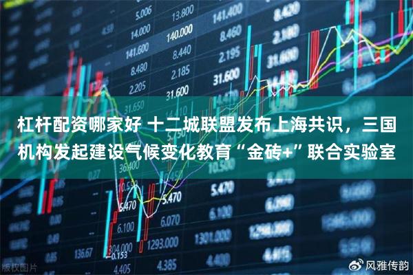 杠杆配资哪家好 十二城联盟发布上海共识，三国机构发起建设气候变化教育“金砖+”联合实验室