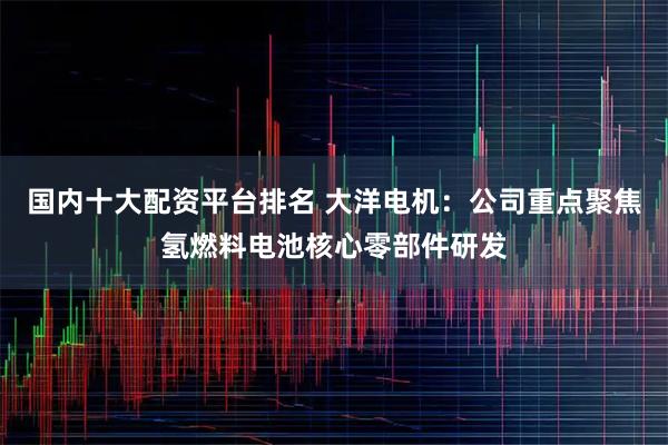 国内十大配资平台排名 大洋电机：公司重点聚焦氢燃料电池核心零部件研发