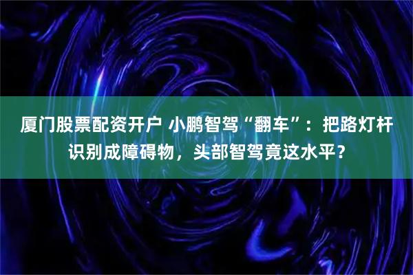 厦门股票配资开户 小鹏智驾“翻车”：把路灯杆识别成障碍物，头部智驾竟这水平？